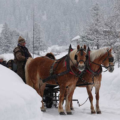 Winter Ski Paradies - Schlitten/Kutsche mit HAflingerpferden - bei Dreharbeiten von TV-Travelstories